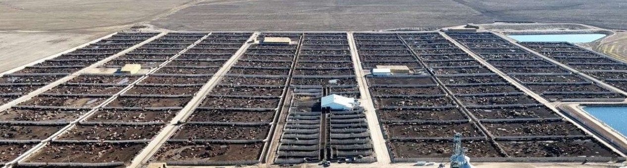 Responsive Aerial Feedlot Cropped More (Mobile 0 Breakpoint) Aerial Feedlot Cropped More (Desktop 768 Breakpoint) 